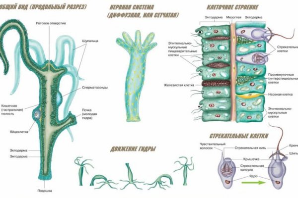 Как зарегистрироваться в kraken