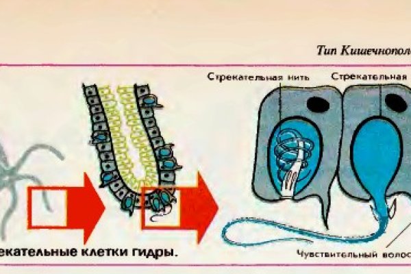 Ссылка на кракен зеркало