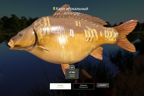Ссылка на кракен kr2web in